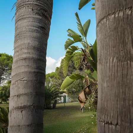 Welcomely - Chiara Коста Рей